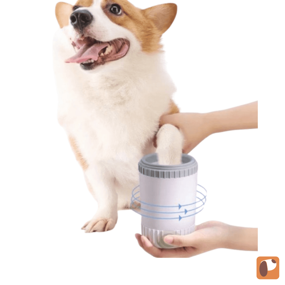 Lava Patas Semi-Automático para pets facilitando a limpeza das patas após passeios
