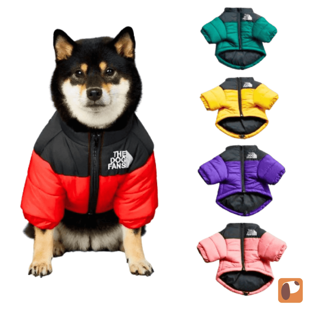 Jaqueta térmica vermelha para cachorros, ideal para proteger do frio em passeios ao ar livre