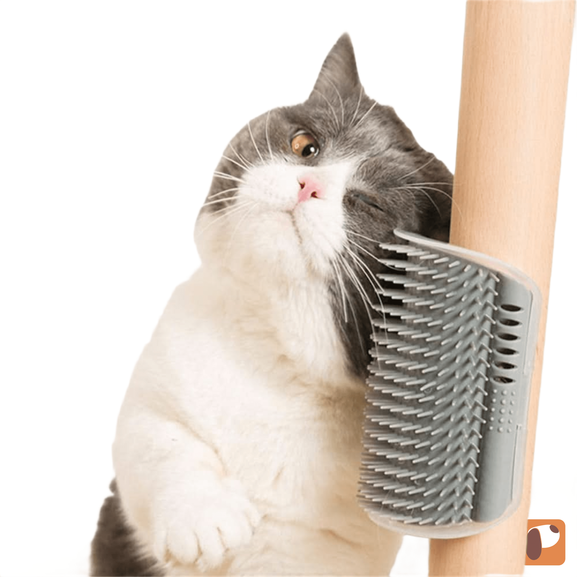 Pente de canto para gatos instalado na parede para escovação e relaxamento autônomo