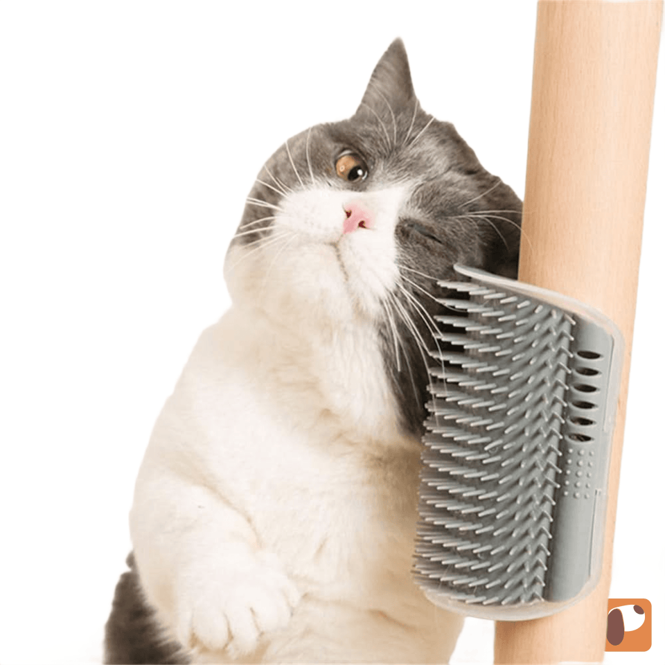 Pente de canto para gatos instalado na parede para escovação e relaxamento autônomo