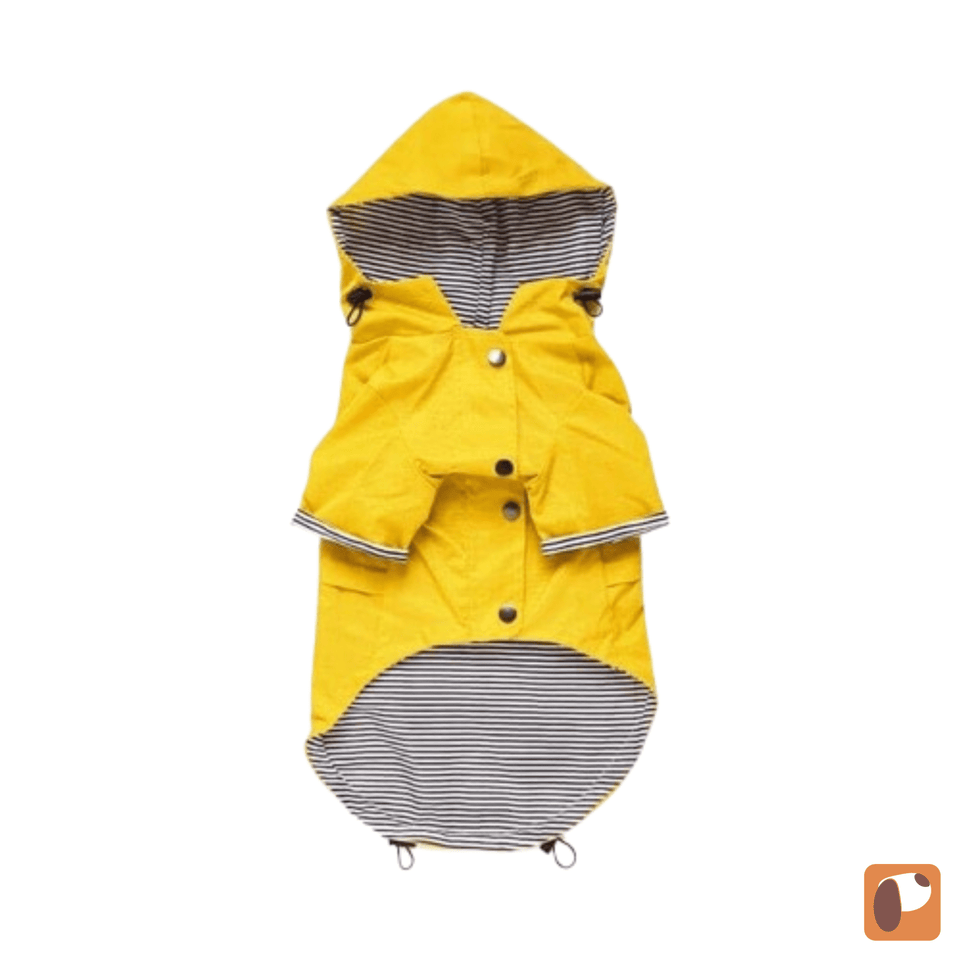 Capa de chuva impermeável para cães com proteção completa contra chuva, ideal para passeios em dias chuvosos