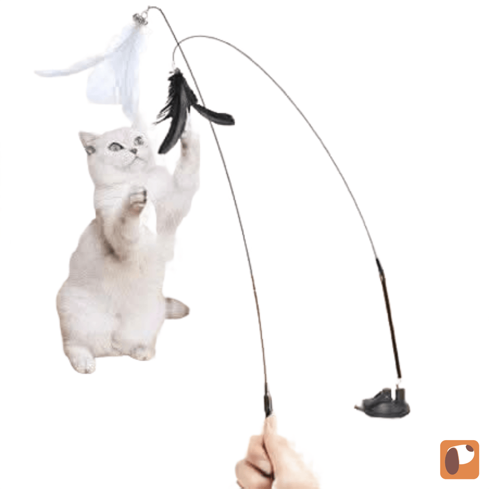 Brinquedo interativo para gatos com pena colorida, sino e ventosa para fixação em superfícies lisas