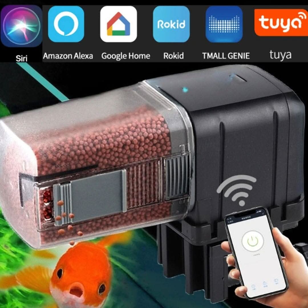 Peixe comendo em alimentador automático programável instalado no aquário