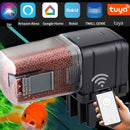 Alimentador Automático para Aquário - Praticidade e Alimentação Garantida Alimentador para aquário Madrupet 