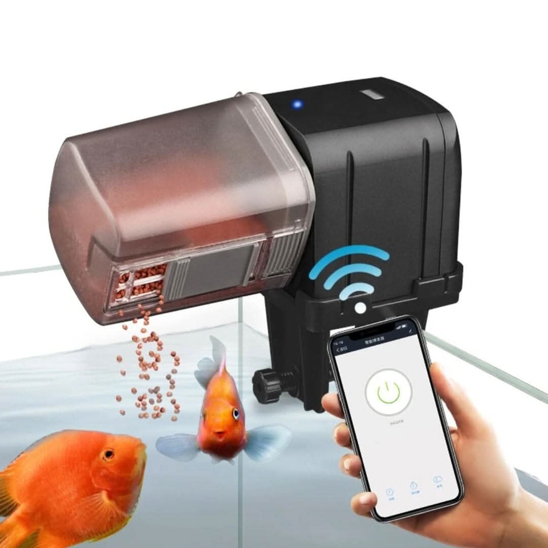 Alimentador automático para peixes com programação via app para alimentação prática e precisa