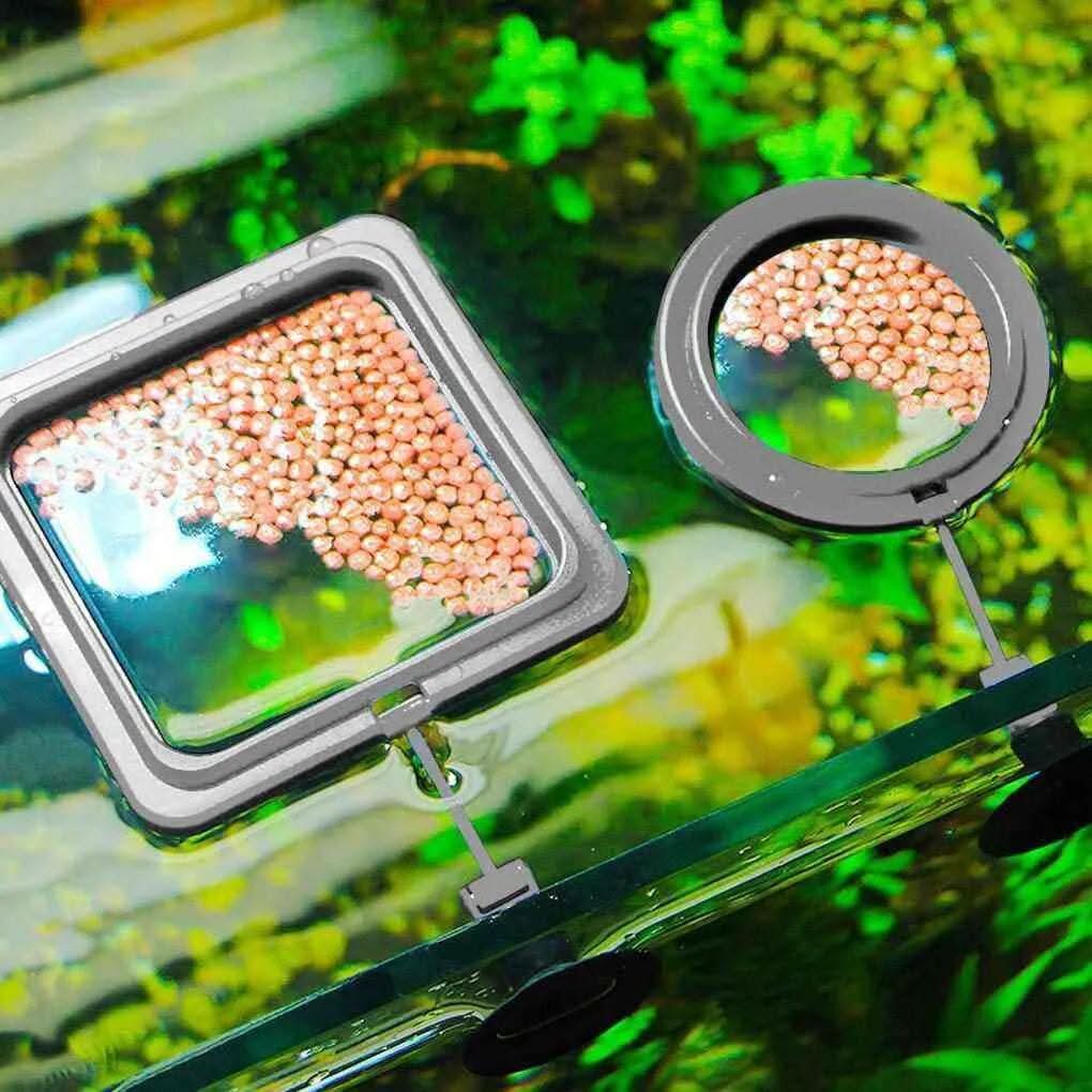 Alimentador flutuante para aquário com design que evita desperdício de ração e mantém água limpa