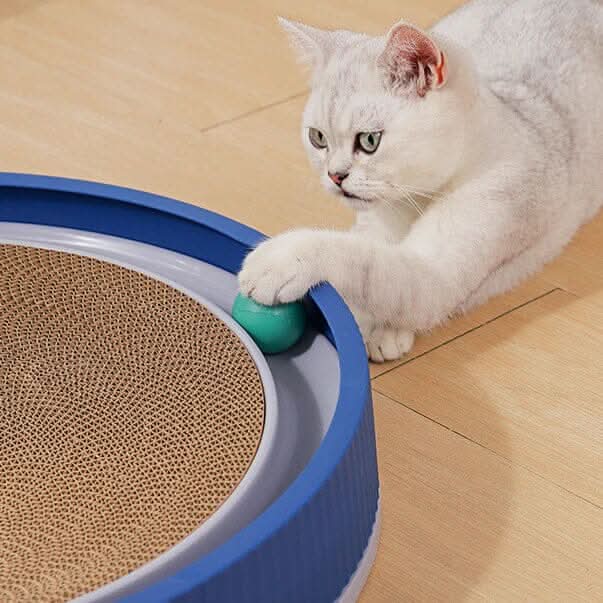 Gato brincando com arranhador para gatos com bolinhas giratórias em ambiente de sala