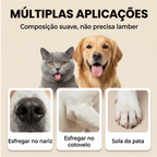 Cão recebendo aplicação do bálsamo hidratante para patas e focinho para cuidado e proteção