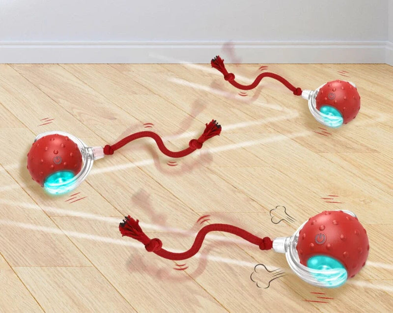 Bolinha com Sensor para Gatos - Gira Sozinha Madrupet 