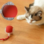 Brinquedo para gatos Madrupet em uso com gato curioso e ativo na sala