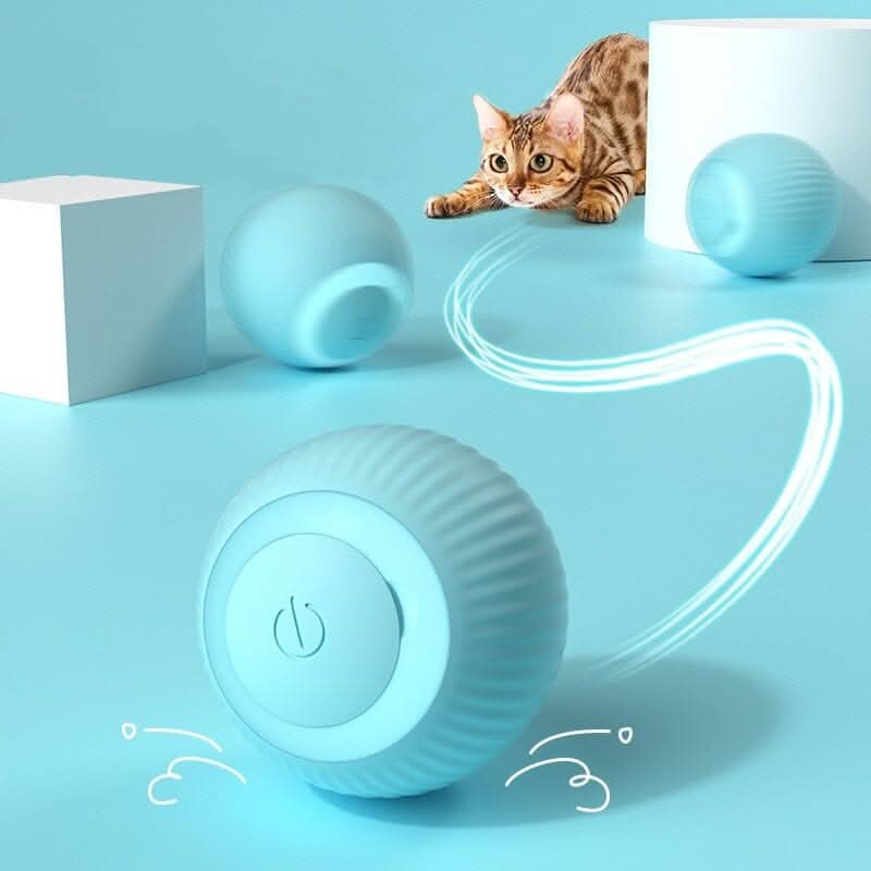 Detalhe da bolinha interativa para gatos mostrando textura antiderrapante e design moderno