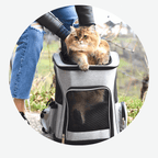 Bolsa de transporte para gatos em uso com cachorro pequeno, mostrando versatilidade do produto