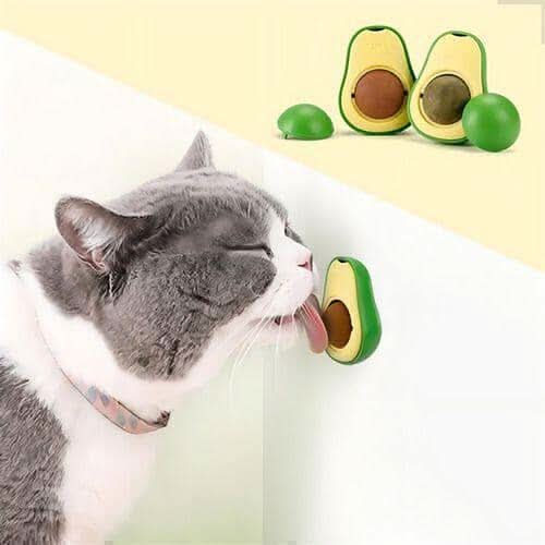 Brinquedo abacate com catnip em diferentes cores para gatos ativos e curiosos