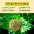 Embalagem do brinquedo abacate com catnip para gatos Madrupet, acessório divertido e saudável