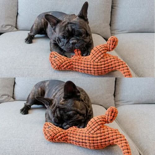 Conjunto de brinquedos de pelúcia para cães em diferentes tamanhos e cores, incluindo o Dino com apito
