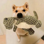 Embalagem do brinquedo de pelúcia para cães Dino com apito, destacando a qualidade Madrupet