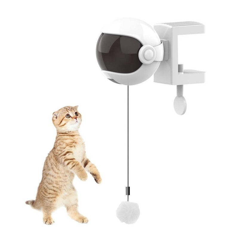 Brinquedo Interativo com Bolinha de Pelúcia – Diversão e Estímulo para Gatos Brinquedo Interativo para Gatos e Cachorros SabinoVision 