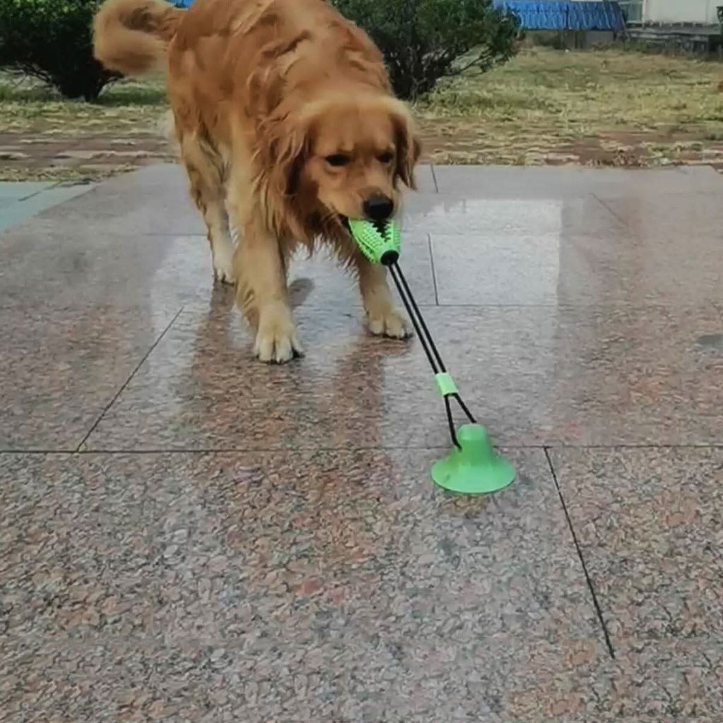Brinquedo interativo para cães com design ergonômico e ventosa antiderrapante, ideal para pets