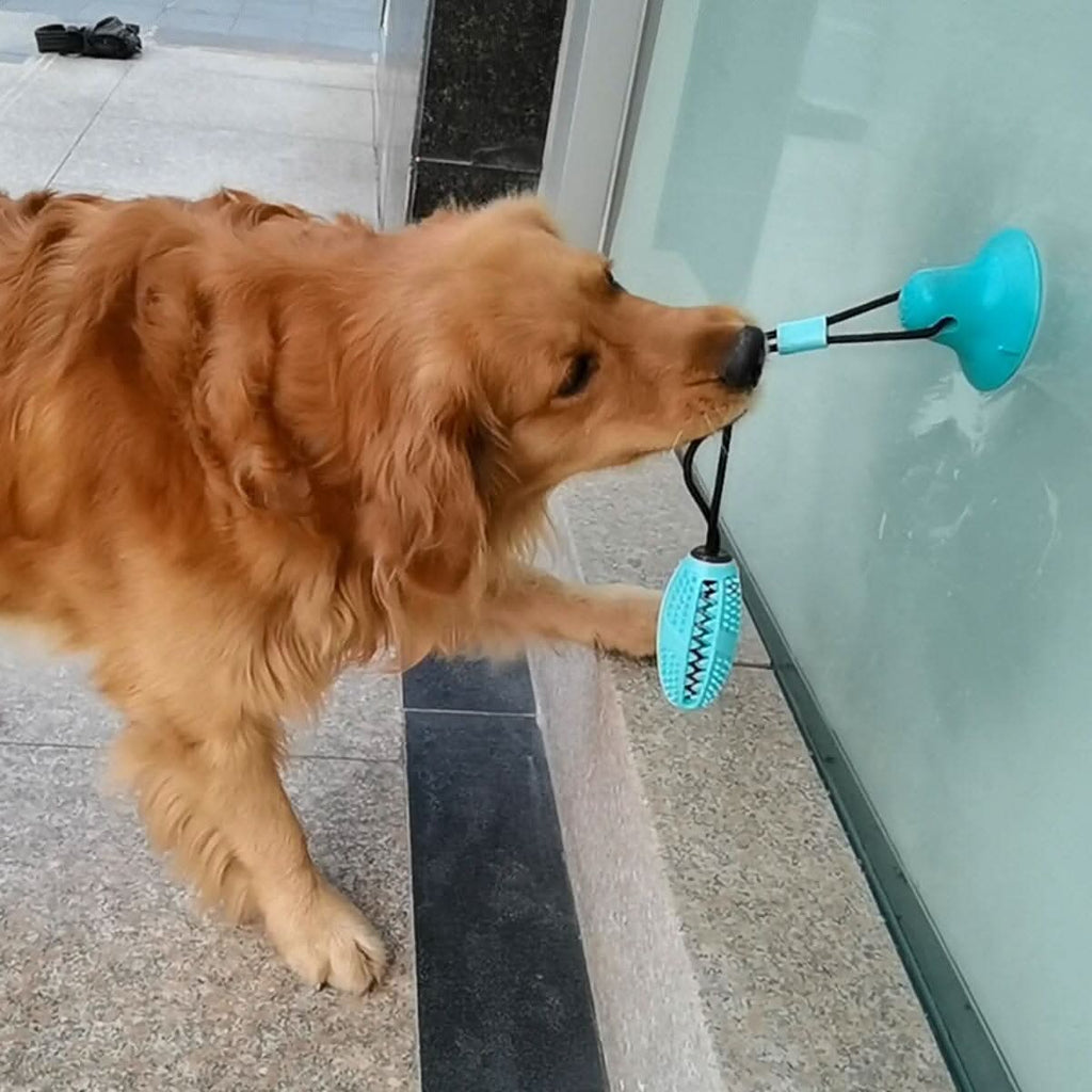 Pacote do brinquedo interativo para cães com mordedor e dispenser de petiscos da Madrupet