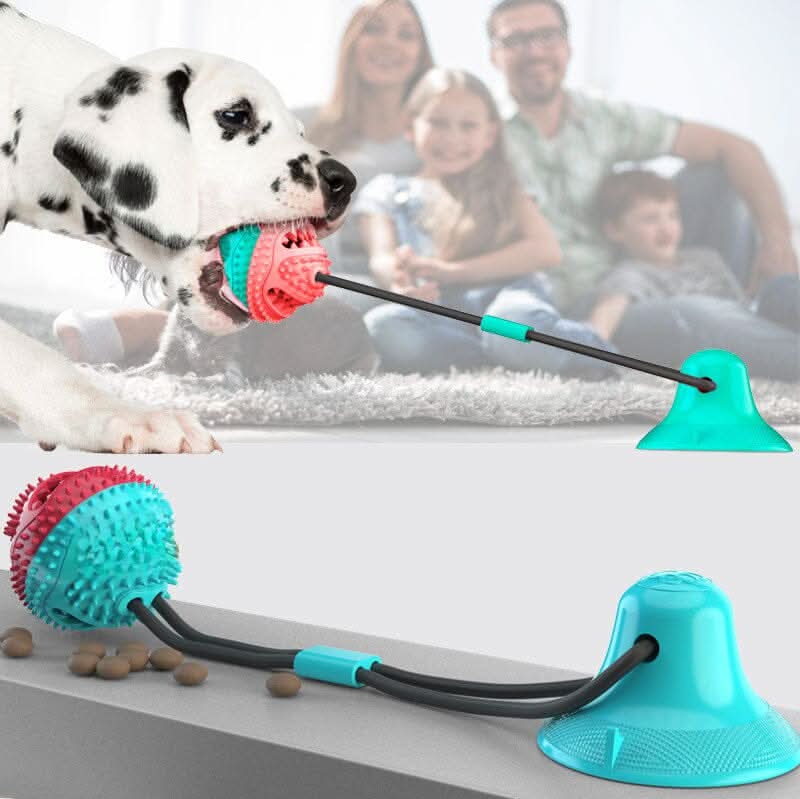 Mordedor com ventosa e dispensador de petiscos em uso para estimular cães ativos e inteligentes