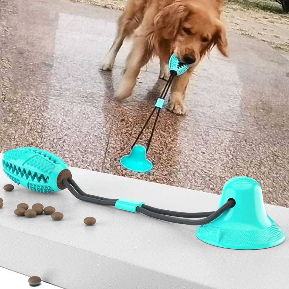 Cachorro brincando com mordedor interativo com dispensador de petiscos fixado na parede