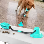 Cachorro brincando com mordedor interativo com dispensador de petiscos fixado na parede