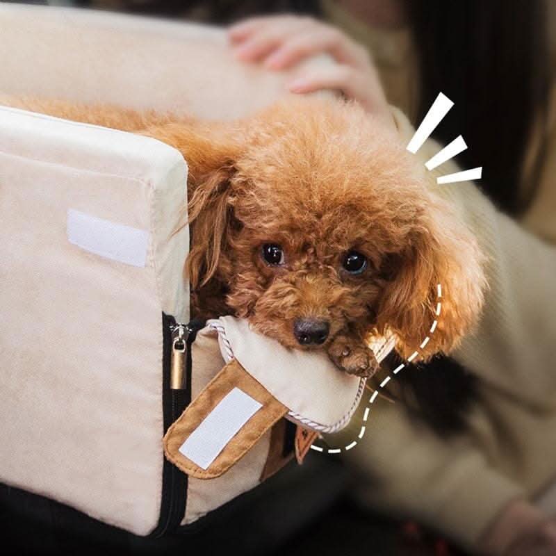 Detalhe do cinto de segurança reforçado da cadeirinha para pet que oferece maior proteção