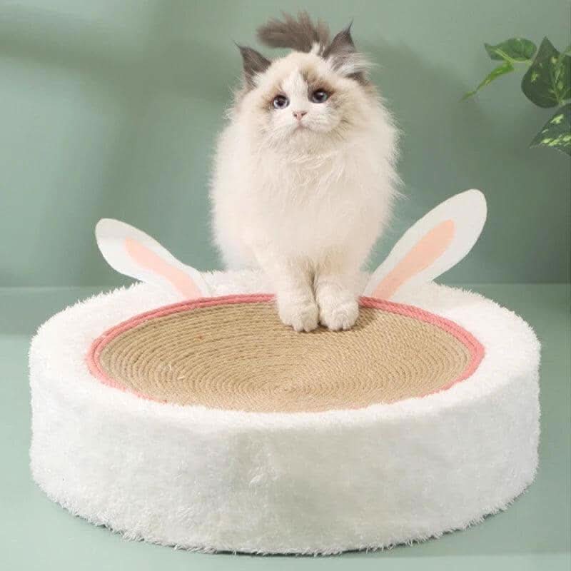 Gato usando cama arranhadora para gatos, aproveitando o conforto e proteção do produto