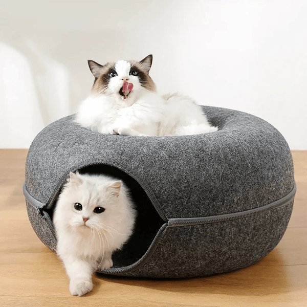 Cama Interativa Túnel para Gatos – Descanso e Diversão em Um Só Produto Túnel caminha para gatos Madrupet 