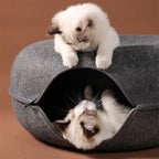 Detalhe do tecido acolchoado e resistente da cama interativa túnel para gatos