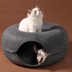 Gato brincando dentro da cama interativa túnel para gatos, aproveitando o conforto e a diversão