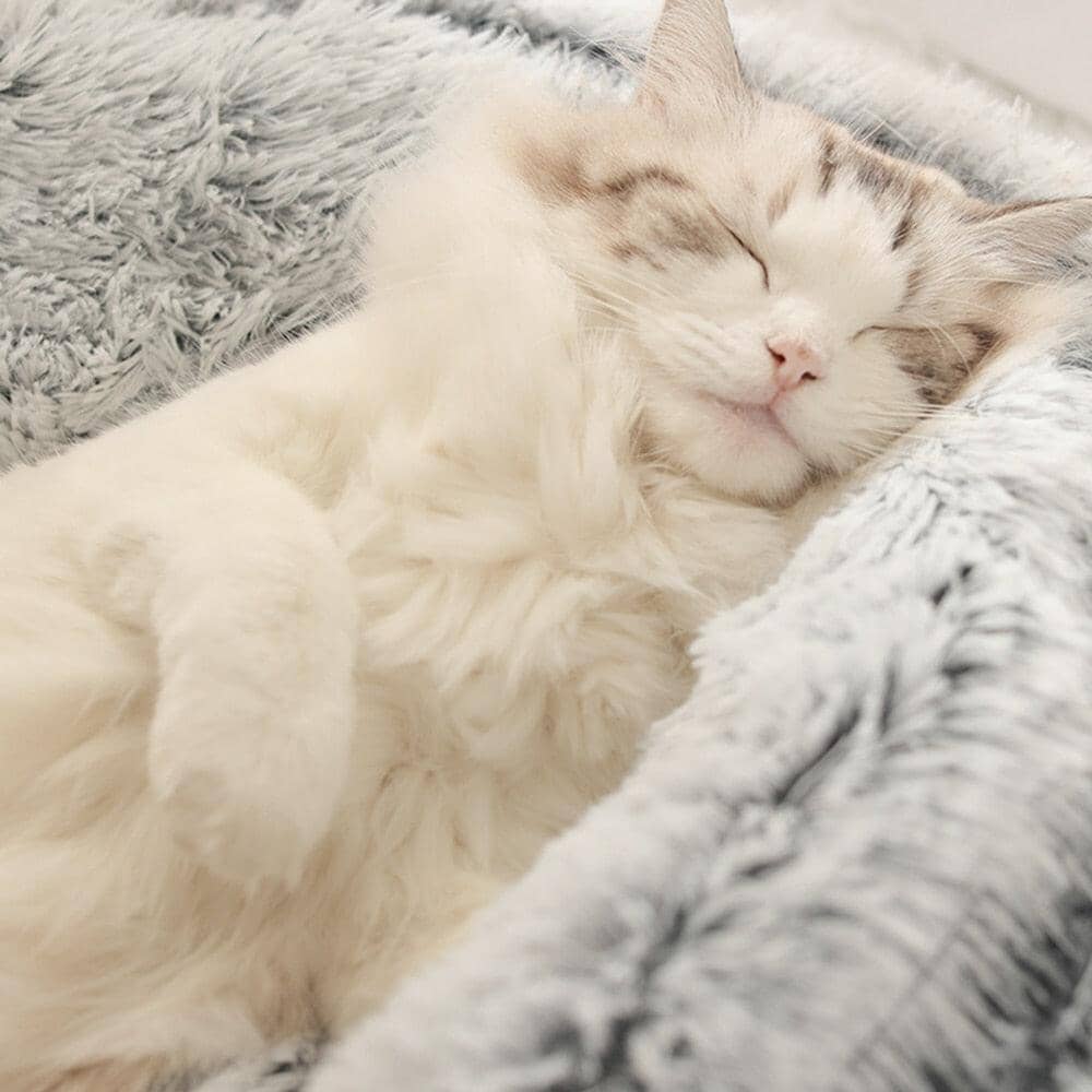 Detalhe do tecido felpudo e bordas elevadas da cama ninho para gatos garantindo proteção