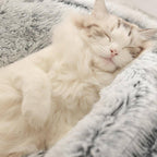Detalhe do tecido felpudo e bordas elevadas da cama ninho para gatos garantindo proteção