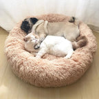 Cachorro deitado confortavelmente na cama nuvem para cães e gatos em ambiente doméstico