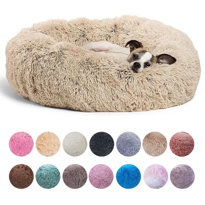 Cachorro pequeno usando a cama nuvem para cães e gatos com bordas elevadas para maior segurança