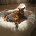 Cama nuvem para cães e gatos em cor cinza claro destacando o formato arredondado