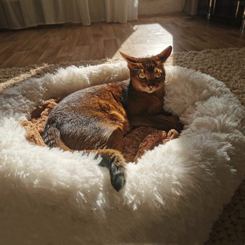 Cama Nuvem para Cães e Gatos – Super Macia, Aconchegante e Antiestresse Cama Nuvem Veludo para Pets Sabinovision 