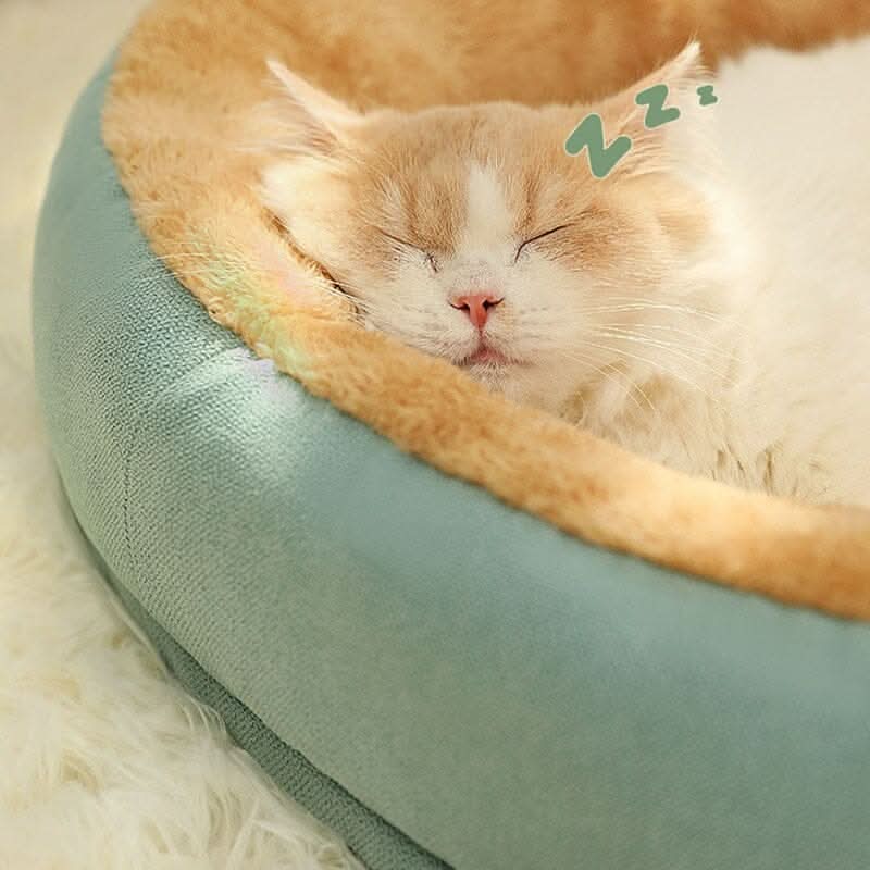 Gato relaxando na cama SonhoPet, mostrando conforto e aconchego no descanso