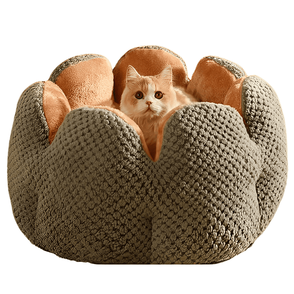 Embalagem da cama para gatos Madrupet destacando qualidade e conforto para seu felino