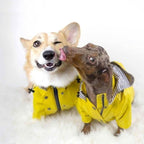 Cachorro usando capa de chuva impermeável Madrupet durante passeio em parque com chuva leve