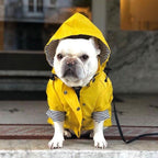 Capa de chuva para cães tamanho médio, mostrando fechamento com velcro para ajuste fácil