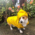 Capa de chuva para cães em cor azul com capuz ajustável para proteção extra