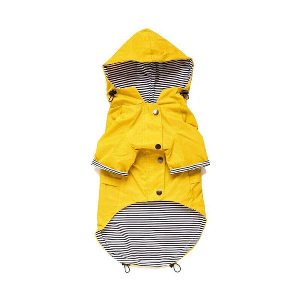 Capa de Chuva Impermeável para Cães – Proteção e Conforto em Qualquer Clima Capa De Chuva Para Cachorro Sabinovision P 