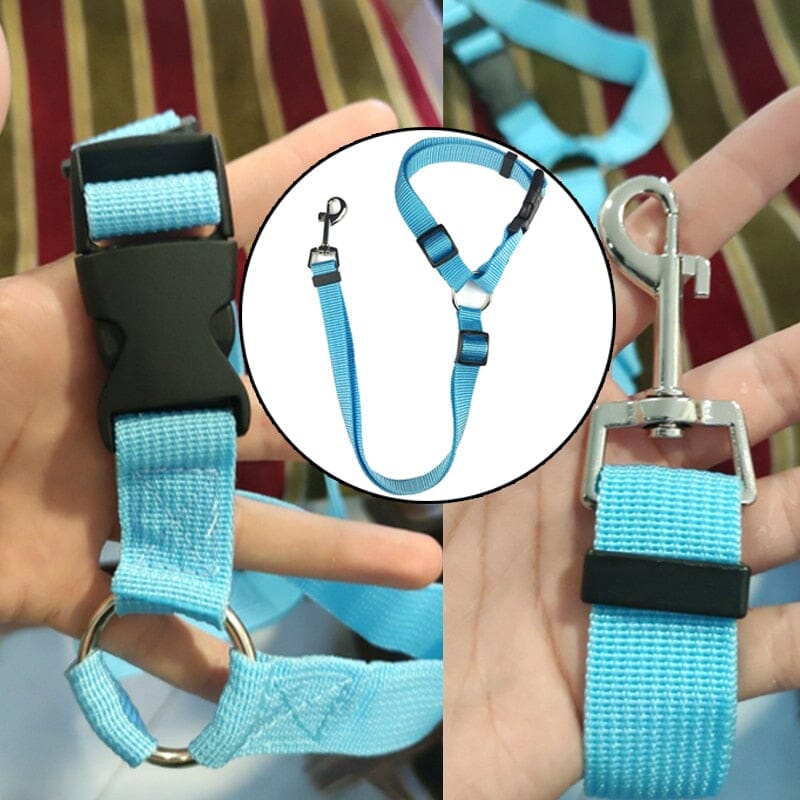 Cinto de Segurança Ajustável para Pets – Proteção em Viagens de Carro Cinto de Segurança para Pet Sabinovision 