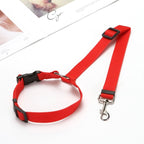 Cachorro de porte médio usando cinto de segurança para pet durante passeio de carro