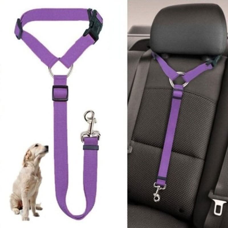 Detalhe do fecho metálico do cinto de segurança para pet com acabamento reforçado