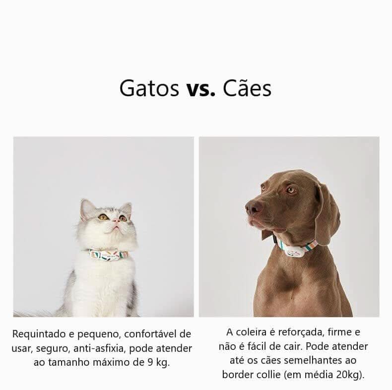 Coleira com Rastreador para Gatos – Localizacao em Tempo Real e Sem Mensalidade Coleira Inteligente para Animais de Estimação SabinoVision 