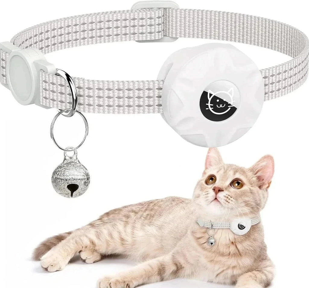 Gato usando coleira com compartimento para GPS Madrupet em ambiente externo seguro