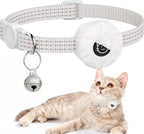 Gato usando coleira com compartimento para GPS Madrupet em ambiente externo seguro