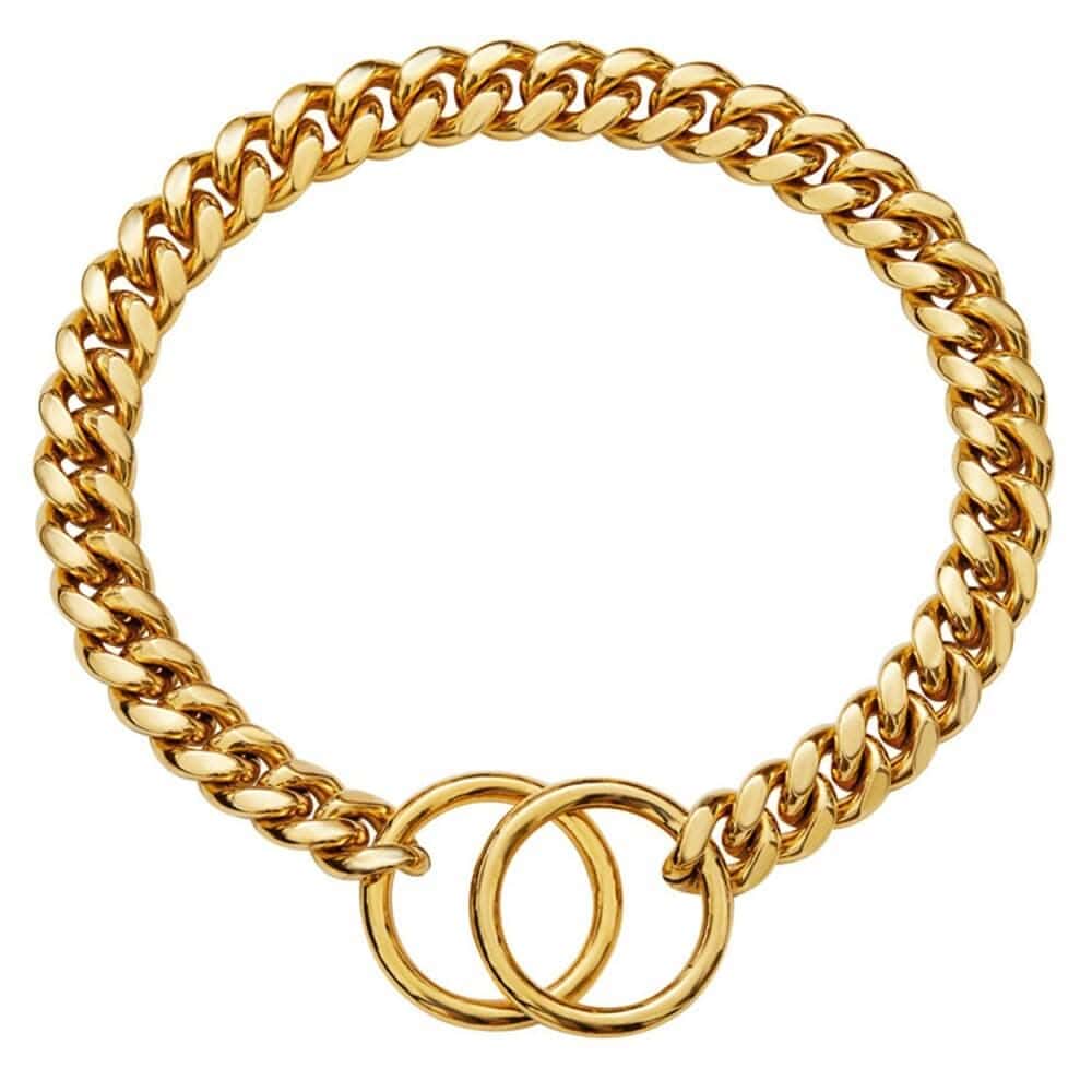 Coleira Guardião Dourado da Madrupet destacando o material durável e design elegante para pets